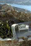 Tharroe of Mykonos 